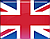 English survey